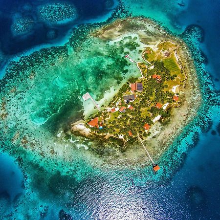 Hatchet Caye Island Resort (Adults Only) Placencia Екстериор снимка
