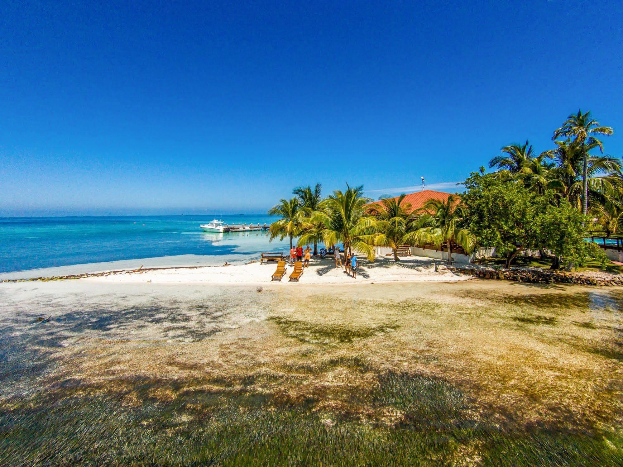 Hatchet Caye Island Resort (Adults Only) Placencia Екстериор снимка